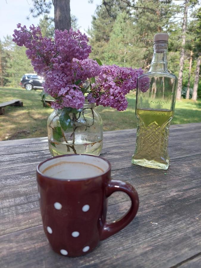 Rustic Home Tara Kaludjerske Bare Eksteriør bilde