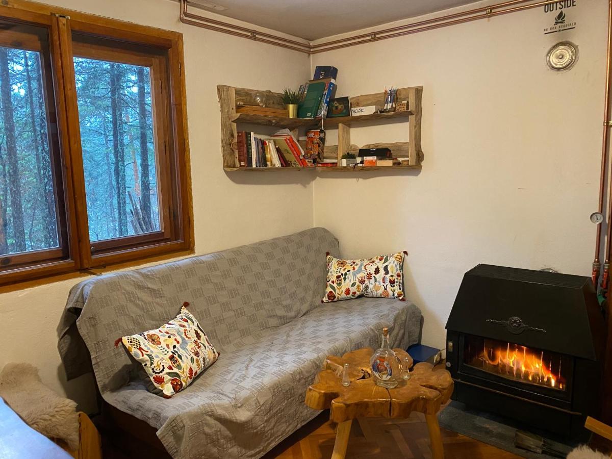 Rustic Home Tara Kaludjerske Bare Eksteriør bilde