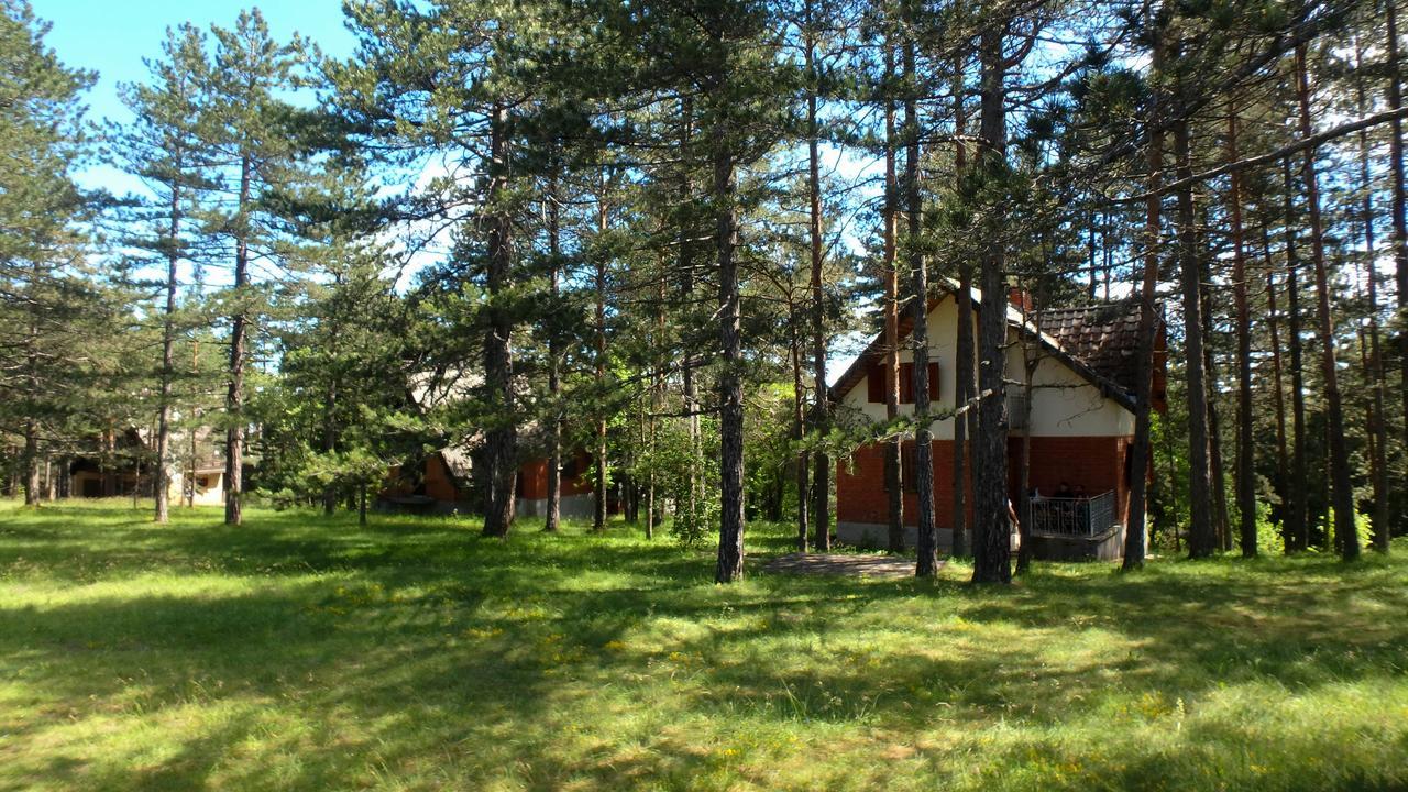 Rustic Home Tara Kaludjerske Bare Eksteriør bilde